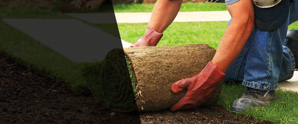 Point Pleasant Landscapers